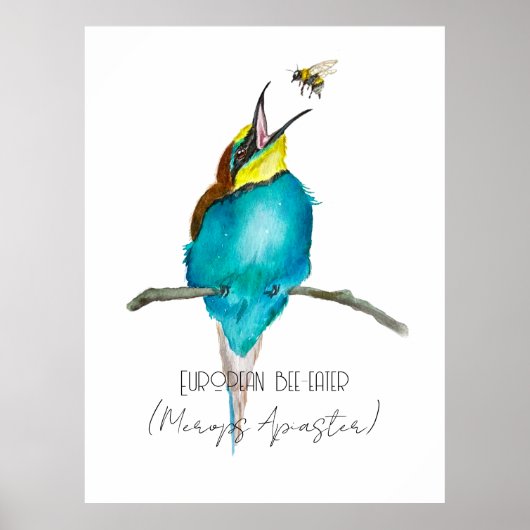 水色の鳥（ヨーロッパのミツバチを食べる人） ポスター (正面)