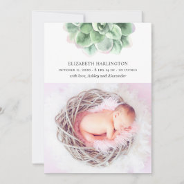 水色は多肉質。新生児.グリーンサボテン誕生 案内状