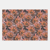 水色オレンジ色と茶色の花。 ラッピングペーパーシート (正面)