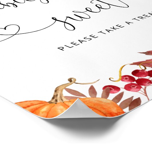 水色オレンジ色の小さなかぼちゃのベビーは甘い ポスター (角)