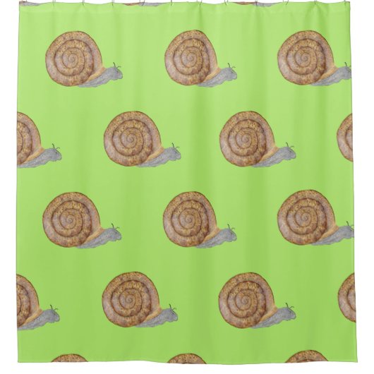 水色カタツムリ シャワーカーテン (正面)
