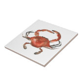 水色カニ – 赤 タイル (側面)