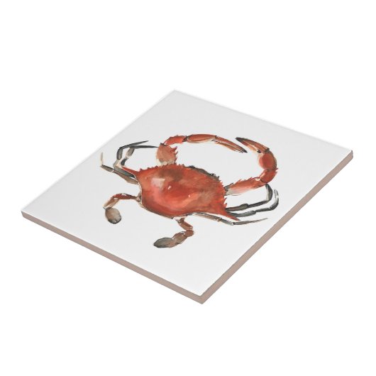 水色カニ – 赤 タイル (側面)
