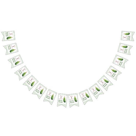 水色キュウリ大ディル誕生日パーティー バンティングフラッグ (全)