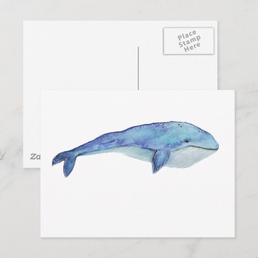 水色クジラ ポストカード (正面/裏面)