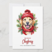 水色クリスマスイエローラブラドール犬 シーズンカード (正面)