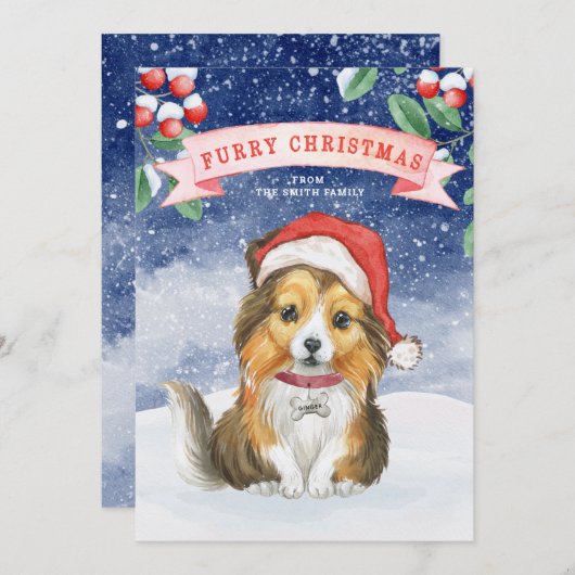 水色クリスマスシェットランド・ シープドッグファーリークリスマスカード (正面/裏面)