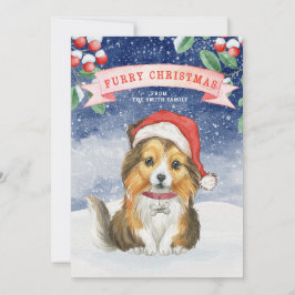 水色クリスマスシェットランド・ シープドッグファーリークリスマスカード
