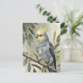 水色コッカティエルユーカリの木 ポストカード (スタンド正面)