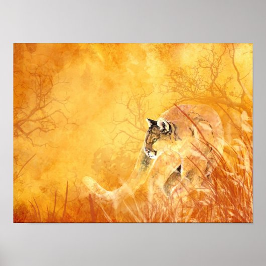 水色スターキングクーガー動物山獅子 ポスター (正面)