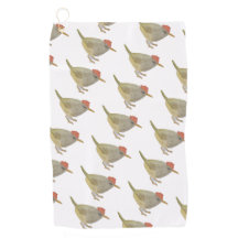 水色ソングバードマウンテンテールバード