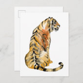 水色タイガーシッティング ポストカード (正面/裏面)
