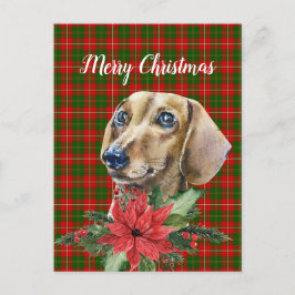 水色ダッシュント犬クリスマスポストカード ポストカード