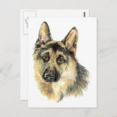 水色ドイツの羊飼いペット犬の動物 ポストカード (正面/裏面)