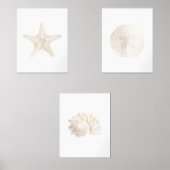 水色ヒトデ砂ドル海シェルビーチ (正面)