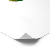 水色ピンクのポピーかわいらしの花 ポスター (角)