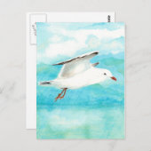 水色ピーコックブルーシーガルの雨鳥 ポストカード (正面/裏面)
