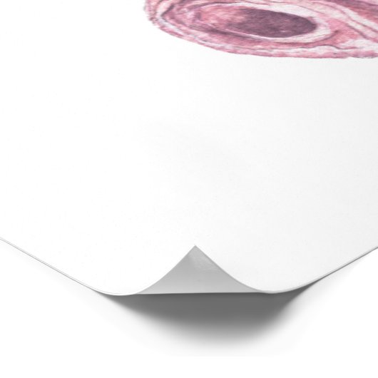 水色フクロウ ポスター (角)