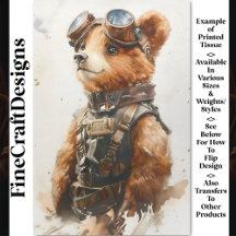 水色ブラウンベアCubエクスプローラーCE1デコページ