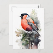 水色ブルフィンチの松の枝の砦 ポストカード (正面/裏面)