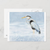 水色ブルー素晴らしヘロン鳥自然野生動物 ポストカード (正面/裏面)