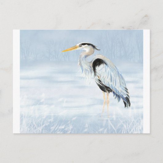 水色ブルー素晴らしヘロン鳥自然野生動物 ポストカード (正面)