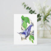 水色ホワイトブレストヌサッチ – 鳥 ポストカード (スタンド正面)