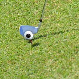 水色モノグラムOブラックピックボールパドル ゴルフボール