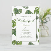 水色モンステラとアダンソニ植物学葉の 招待状 (スタンド正面)