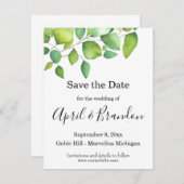 水色ユーカリの緑の緑の葉 セーブザデート (正面/裏面)