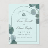 水色ユーカリプトゥスArch写真保存日付 ポストカード (正面)