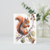 水色リス食べルのナッツ ポストカード (スタンド正面)