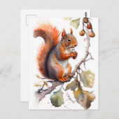 水色リス食べルのナッツ ポストカード (正面/裏面)