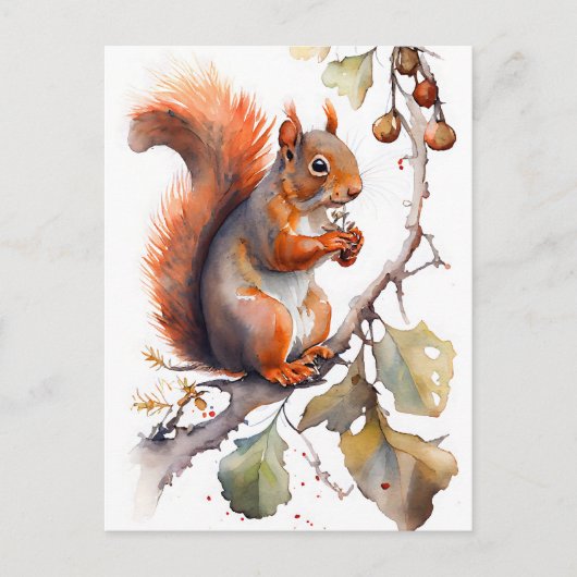 水色リス食べルのナッツ ポストカード (正面)