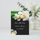 水色ロマンチックな白のバラは日付を保存 案内ポストカード (スタンド正面)