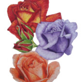 水色ロージーとバラバッドフローラコテージゴア クッション