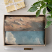 水色ヴィンテージガロピンワイルドウマ草原 薄葉紙 (ギフト)