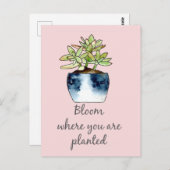 水色多肉汁及び引用文 ポストカード (正面/裏面)