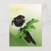 水色好奇心マグパイガーデンバードウィディフェアート ポストカード (正面)