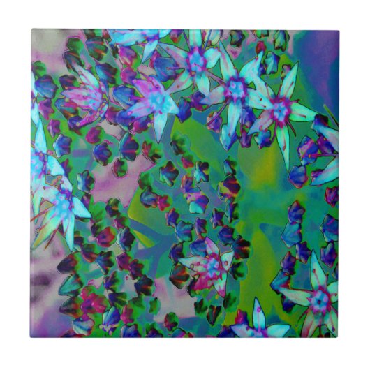 水色、紫、青の多肉性のセダムの花 タイル (正面)