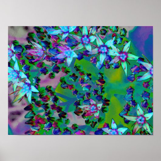 水色、紫、青の多肉性のセダムの花 ポスター (正面)