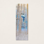 水色Bluejay Bird in Forest Bird BookMark (正面)