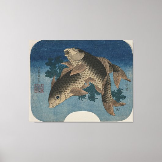 水草で泳ぐ鯉 – Canvas Print キャンバスプリント (正面)