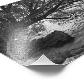 水落ちたの上の木 フォトプリント            (角)