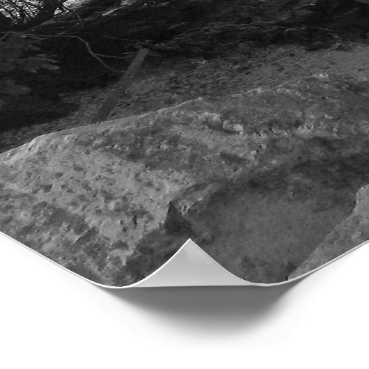 水落ちたの上の木 ポスター (角)