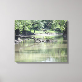 水落ちたの中の木 キャンバスプリント