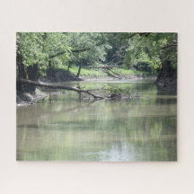 水落ちたの中の木