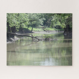 水落ちたの中の木 ジグソーパズル