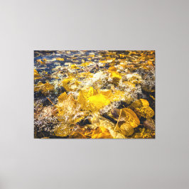 水落ちた離れ中の キャンバスプリント