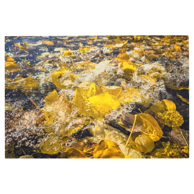 水落ちた離れ中の メタルプリント (正面)